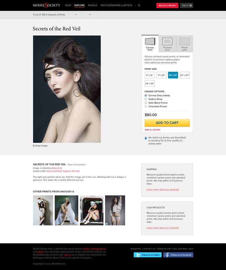 modelsociety webdesign page acheter produit